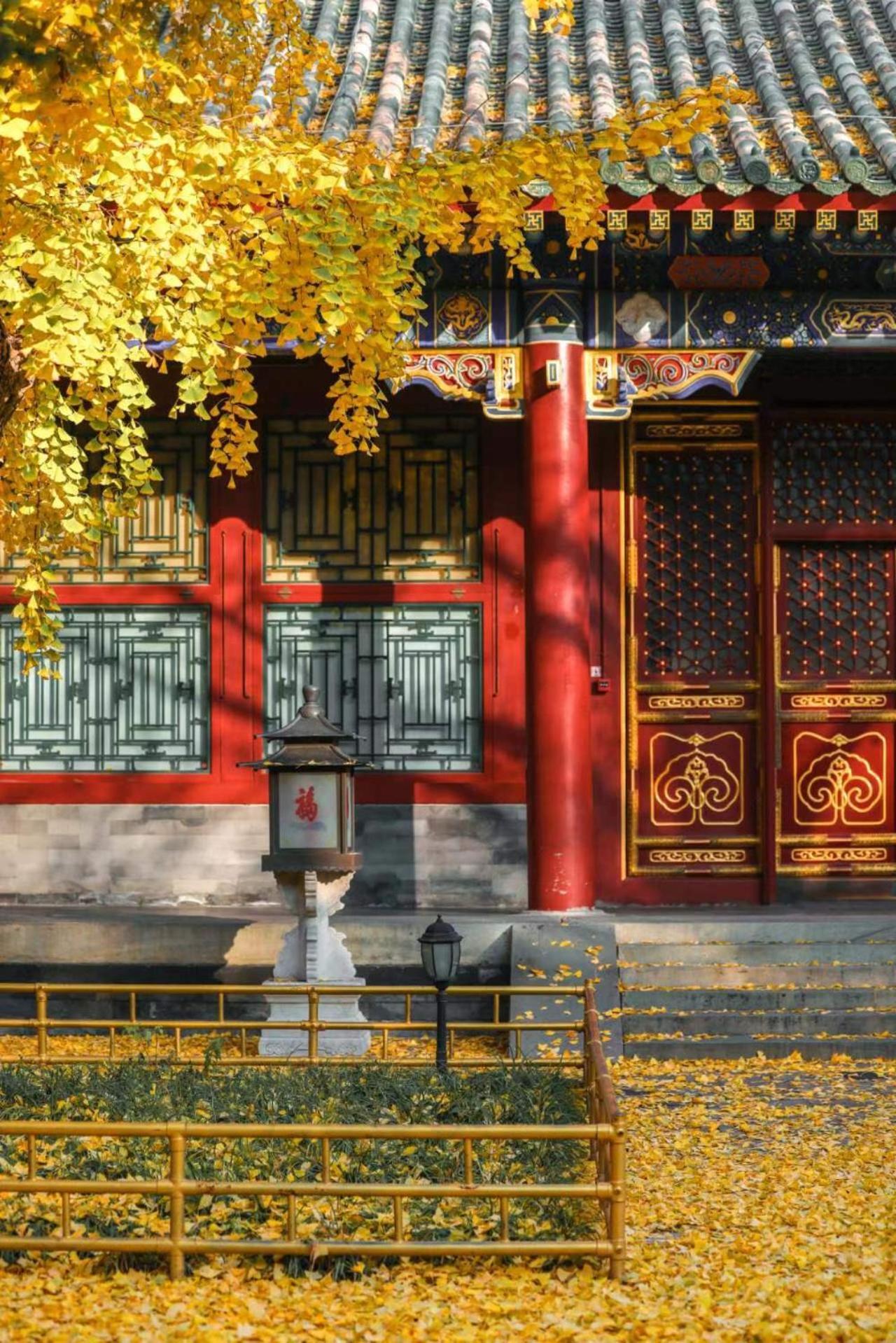 Nostalgia Hotel Near Prince Gong'S Mansion- Beihai Park, Tian'Anmen Square, Nanluoguxiang Hutong, Huguosi Hutong Snack Street, 5 Minutes Walk Away From Ping'Anli Subway Station, Free Ice Cream And Laundry Service,English Communication Well Beijing Exterior photo